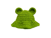 Load image into Gallery viewer, PICKLE PLUSH TEDDY HAT
